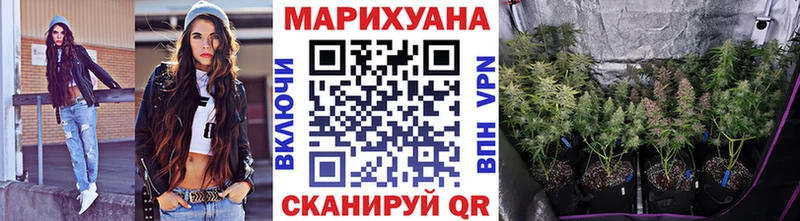 APVP Невель