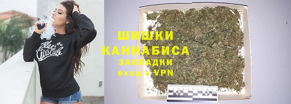 гашик Гусев