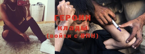 гашик Гусев
