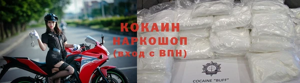 гашик Гусев
