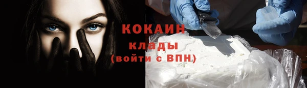 гашик Гусев