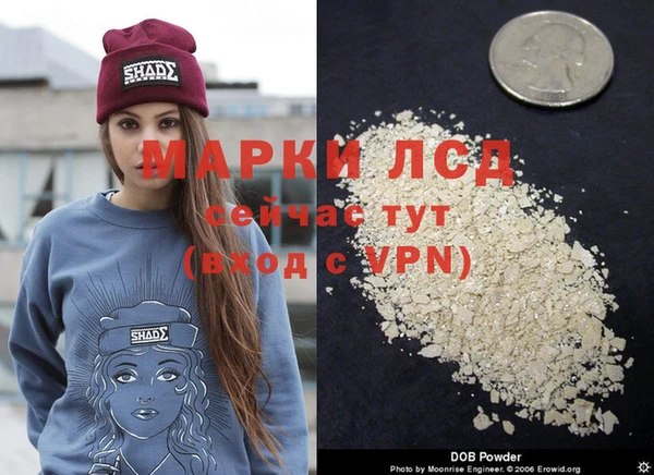 крисы Гусиноозёрск
