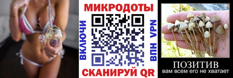 Псилоцибиновые грибы Magic Shrooms  Невель 